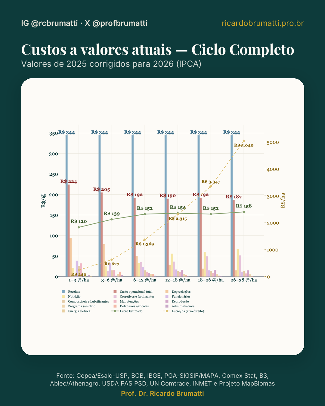 ano vigente custos ciclo completo