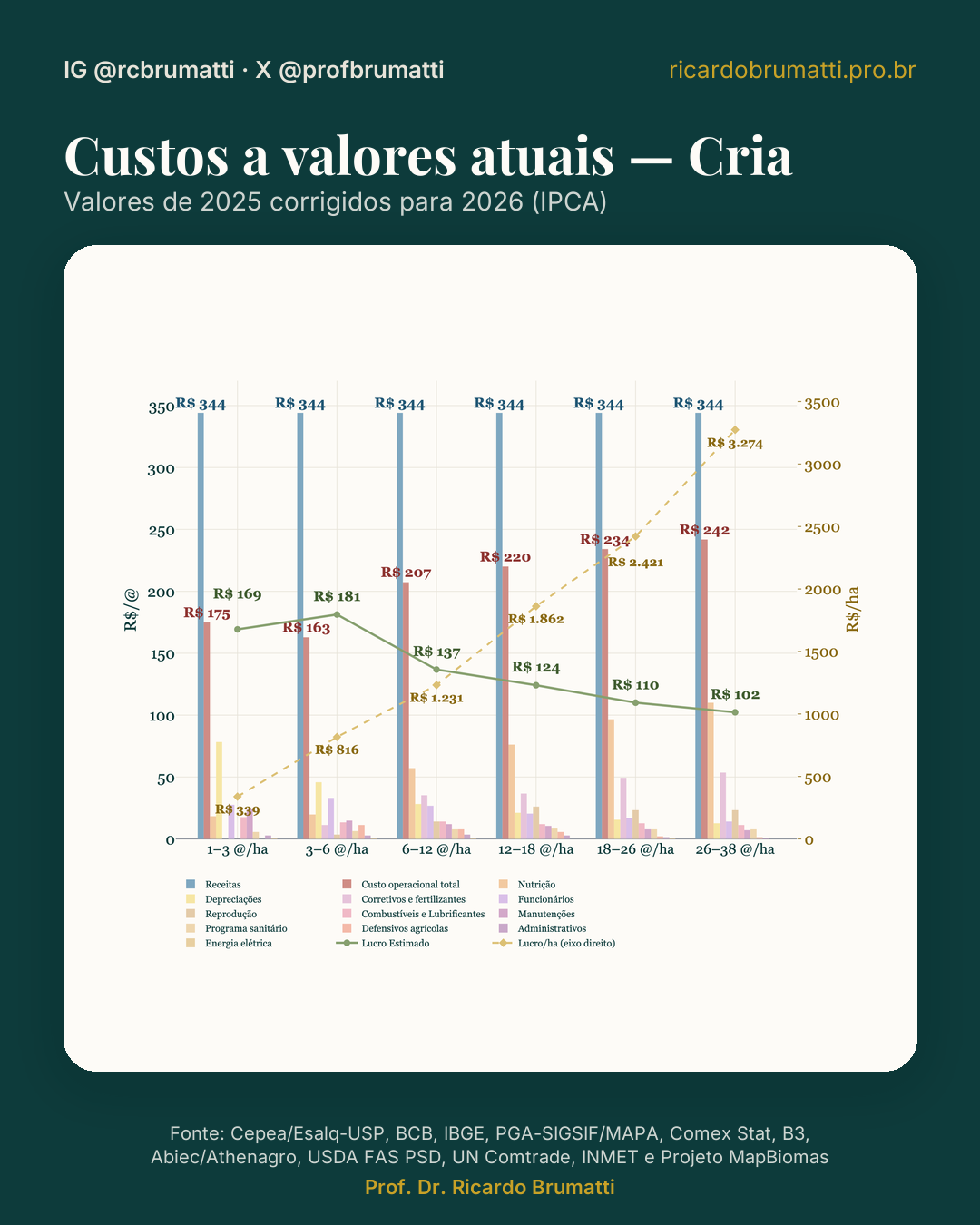 ano vigente custos cria
