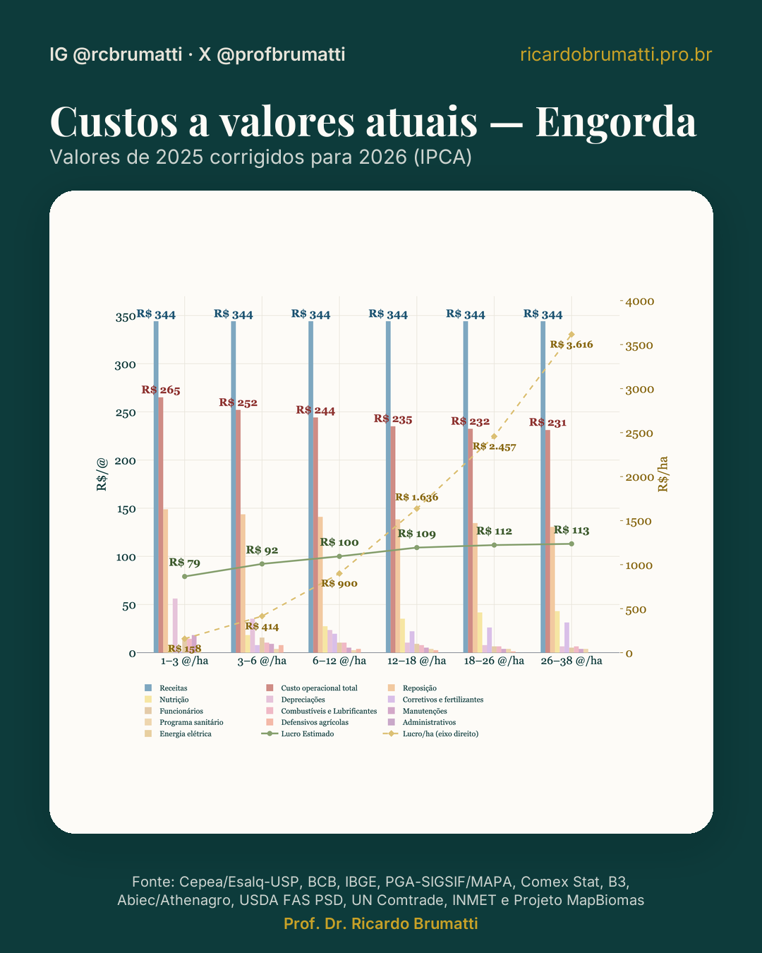 ano vigente custos engorda