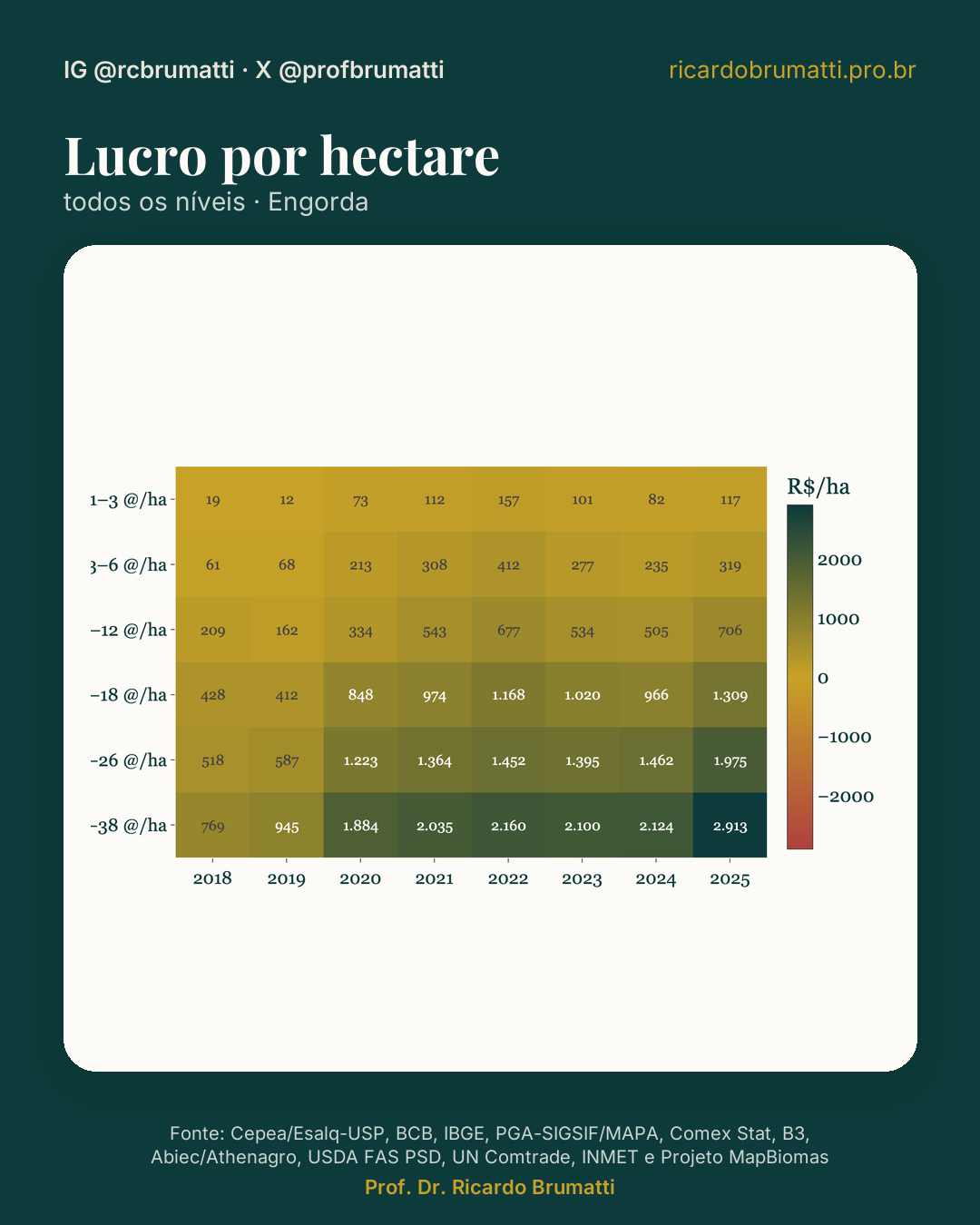 lucro por hectare todos os niveis